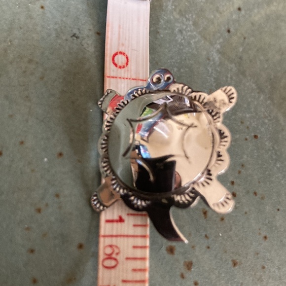 Proceeds donated National Wildlife Fed - Richard Begay (Navajo) Sterling Turtles - Picture 4 of 5